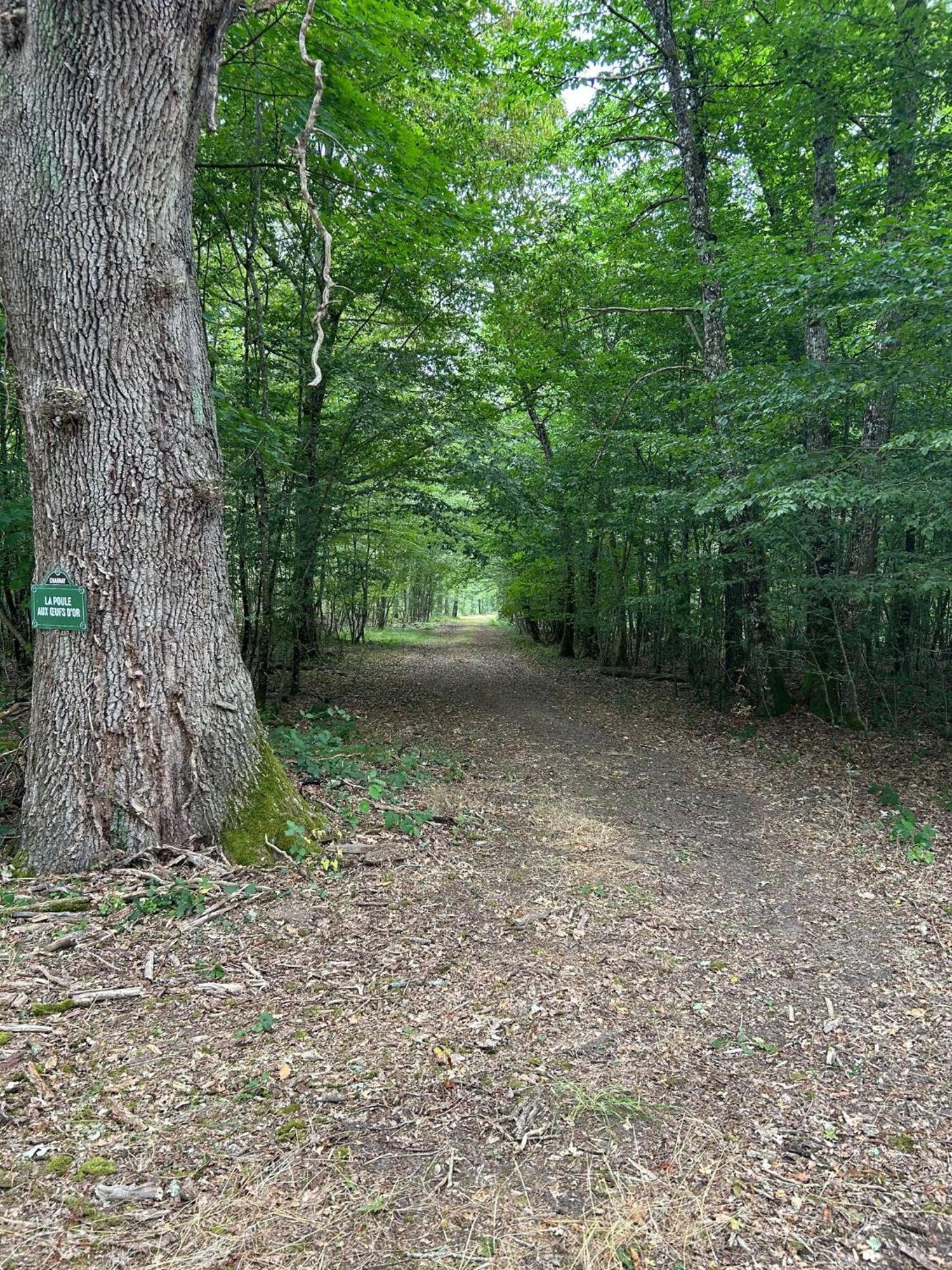Domaine De Charnay - Charme Et Confort Dans Un Environnement D'Exception Vierzon Luaran gambar