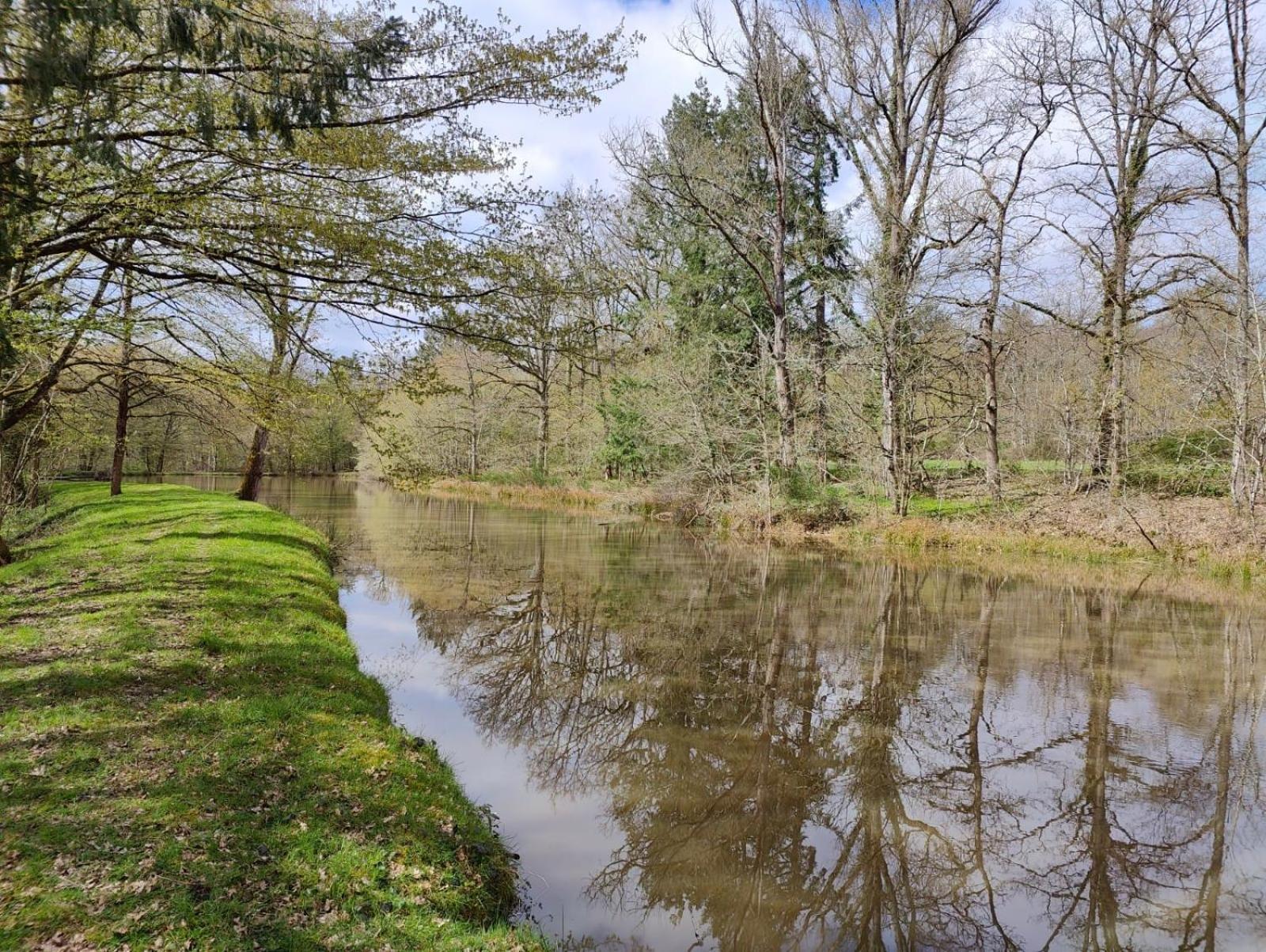 Domaine De Charnay - Charme Et Confort Dans Un Environnement D'Exception Vierzon Luaran gambar