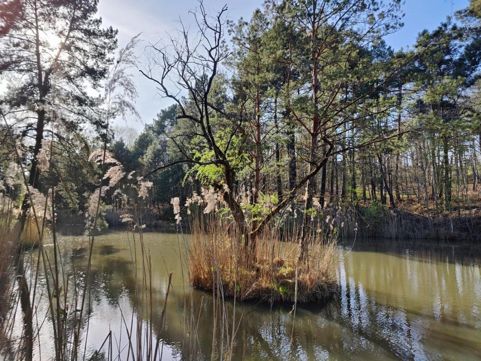 Domaine De Charnay - Charme Et Confort Dans Un Environnement D'Exception Vierzon Luaran gambar