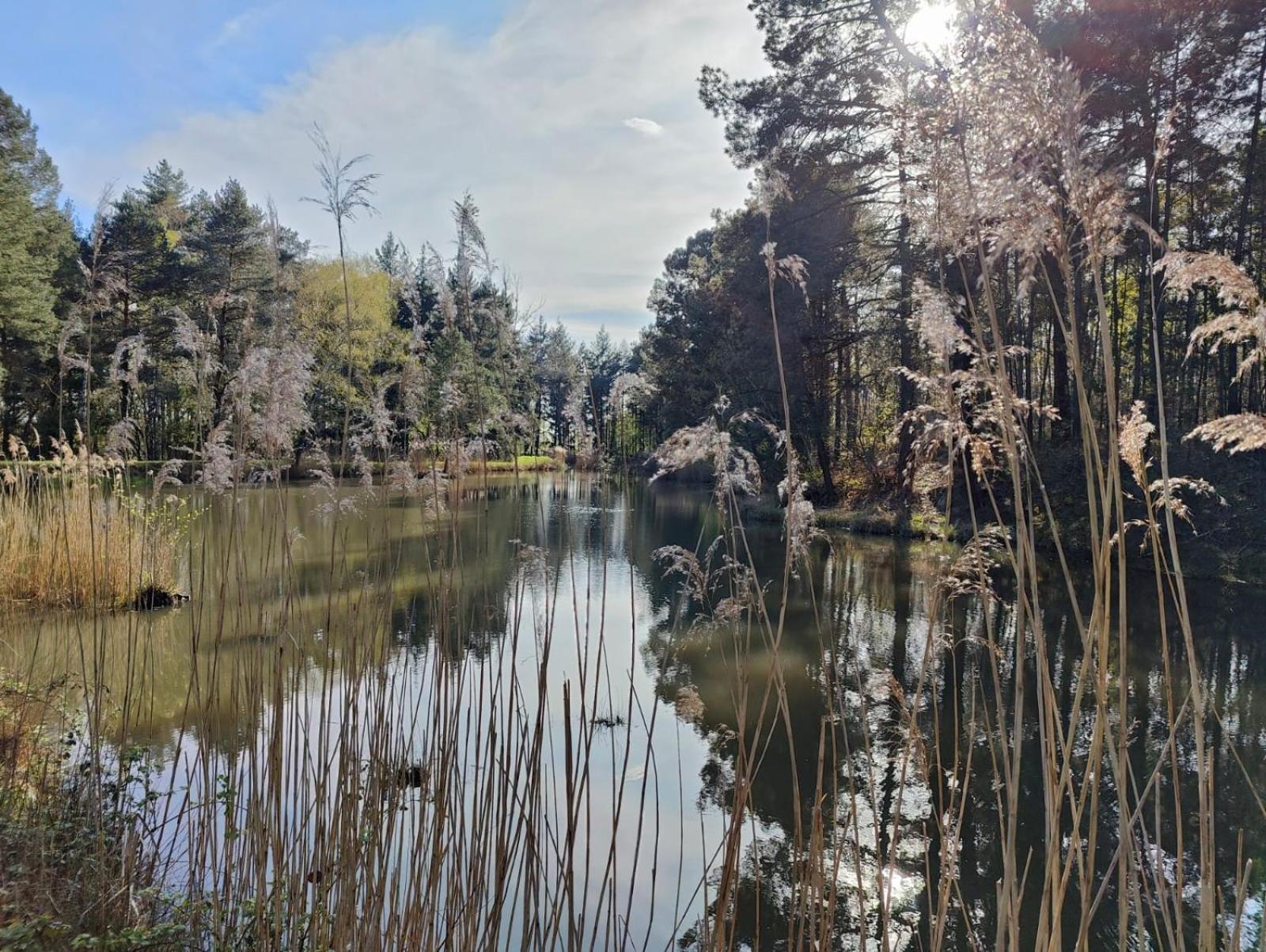 Domaine De Charnay - Charme Et Confort Dans Un Environnement D'Exception Vierzon Luaran gambar