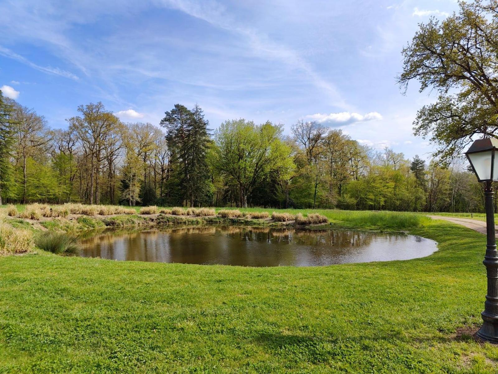Domaine De Charnay - Charme Et Confort Dans Un Environnement D'Exception Vierzon Luaran gambar